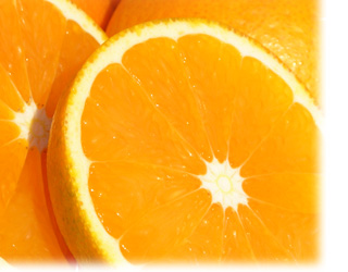 サマーオレンジマーマレードイメージ
