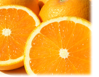 オレンジマーマレードイメージ