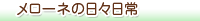 メローネの日記